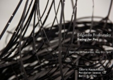 105__320x240_swingfor